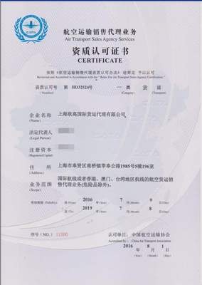 貨運代理與人事勞動代理服務 現代物流行業的關鍵支持