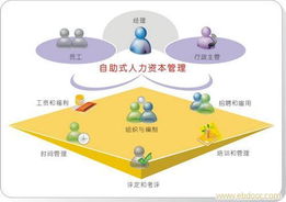 上海專業(yè)人力資源服務(wù) 全方位解析勞務(wù)派遣、免費(fèi)中介與人事代理